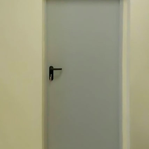 Однопольная глухая дверь