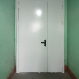 Белая дверь полуторного типа