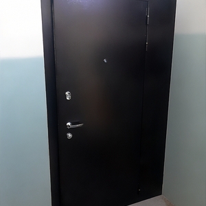 Дверь с боковой вставкой