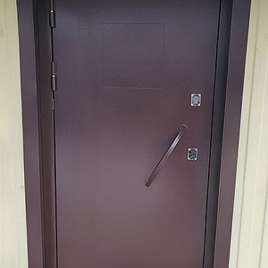 Дверь с открывающимся люком