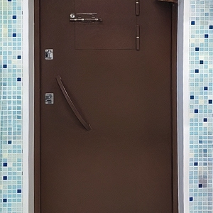 Дверь с открывающимся люком