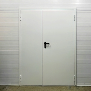 Двупольная дверь белого цвета
