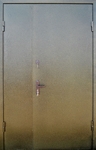 Двупольная техническая дверь с порошковым напылением ТД-003