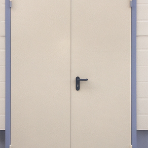 Двустворчатая дверь (покраска в 2 цвета)