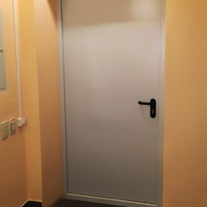 Однопольная дверь в коридоре