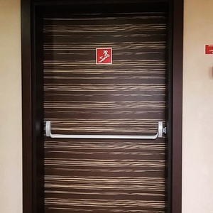 Однопольная дверь с МДФ отделкой