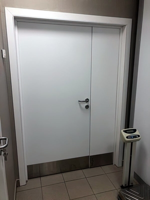 Полуторная дверь с пластиной