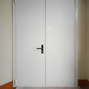 Распашная дверь белого цвета