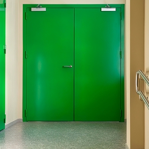 Равностворчатая дверь зеленого цвета