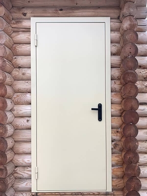 Стальная дверь в бревенчатом доме