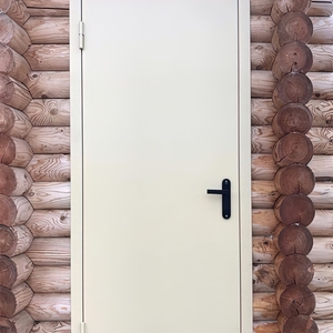 Стальная дверь в бревенчатом доме