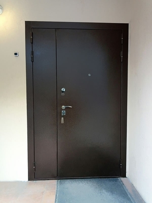 Тамбурная входная дверь