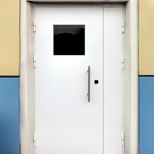 Техническая дверь с окном