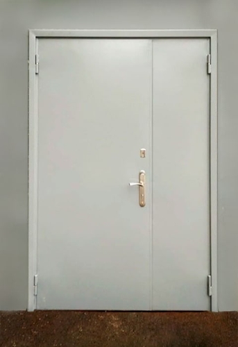 Полуторная техническая дверь
